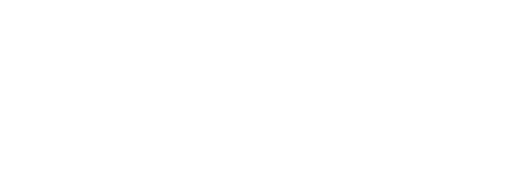 Vasicon Logo